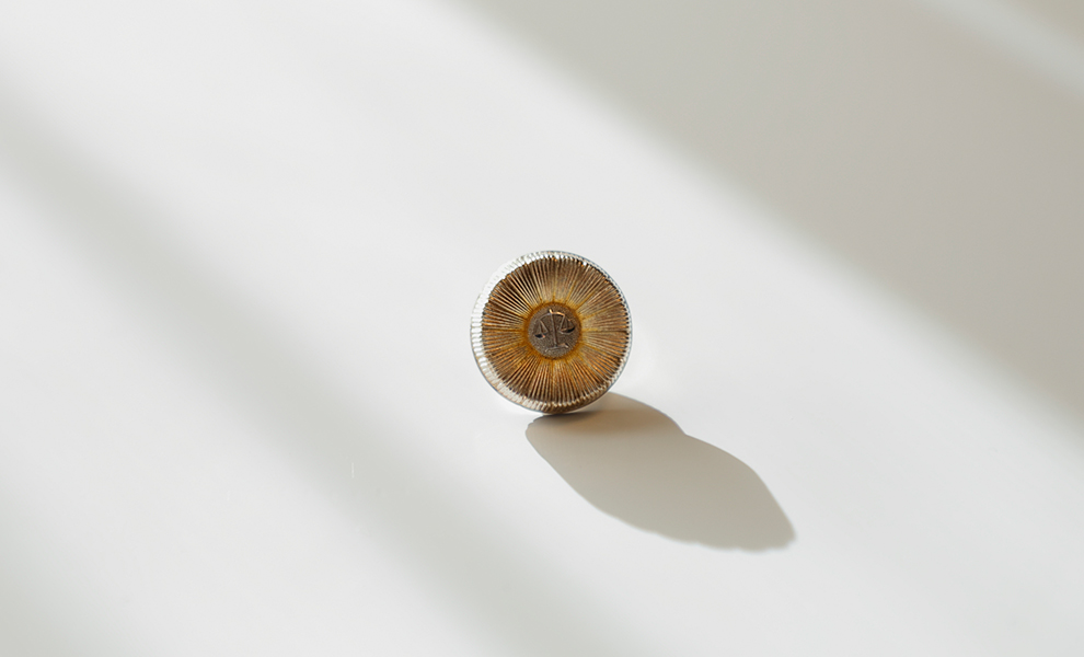 Lawyer 弁護士紹介